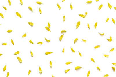 Full frame shot of multi colored background