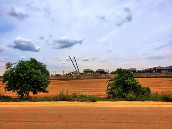 Trees on field against sky