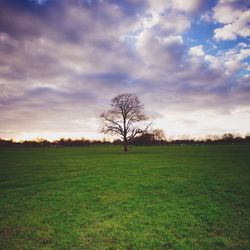 Scenic view of grassy field against cloudy sky