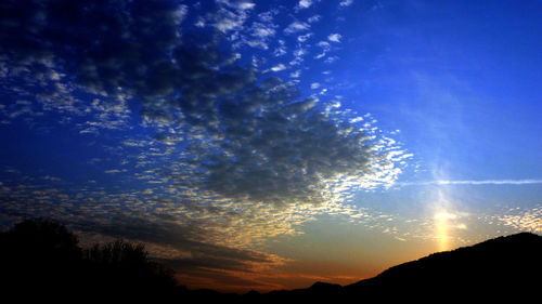 Low angle view of silhouette trees against sky at sunset