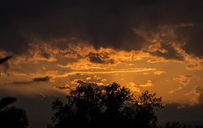 Low angle view of silhouette trees against sky at sunset