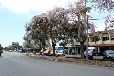 View of street amidst trees and city against sky