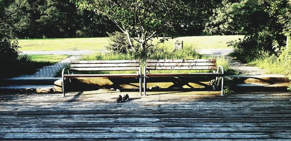 Empty bench in park