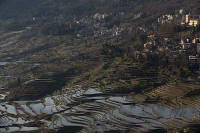 High angle view of agricultural landscape