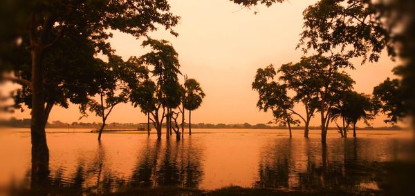 Silhouette trees by lake against sky during sunset