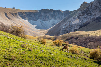 View of a field with mountain range in the background