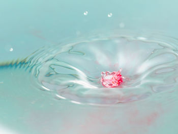 Close-up of water drop on sea