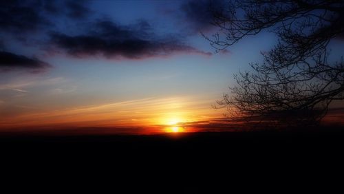 Silhouette trees against sky during sunset