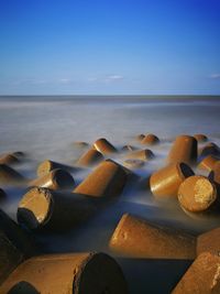 Close-up of sea shore against sky