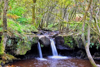 Scenic view of waterfall