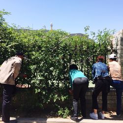 Rear view of people standing against trees