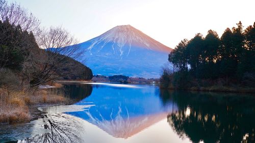 Reflection of trees in lake during winter