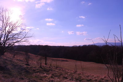 Scenic view of landscape against sky