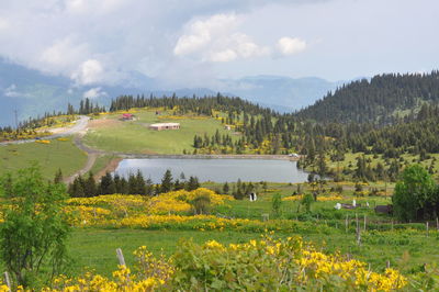 Scenic view of landscape against sky