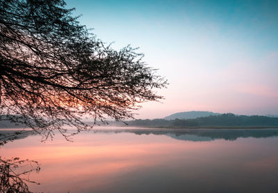 Silhouette tree by lake against sky during sunset