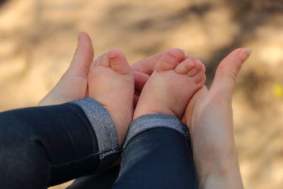 Low section of adult holding baby's feet