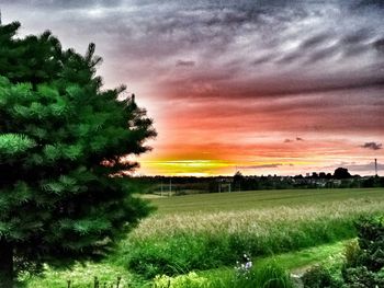 Scenic view of field against cloudy sky