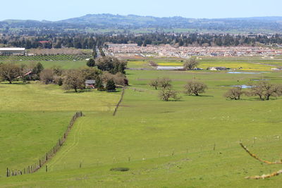 High angle view of trees on field against sky