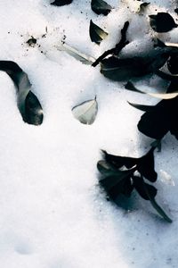 High angle view of snow