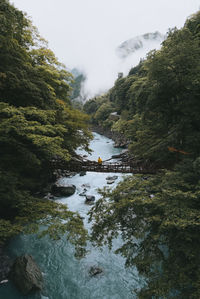 Distant view of man standing bridge over stream amidst trees