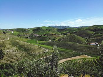 Scenic view of agricultural field against sky