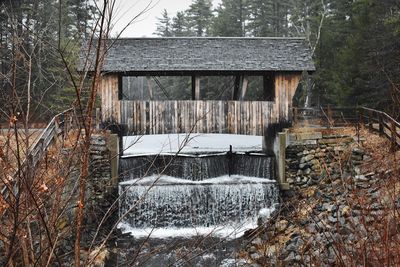 House by trees in forest during winter