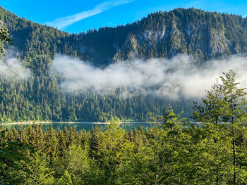 Scenic view of sylvensteinstausee in forest against bavarian mountains and sky
