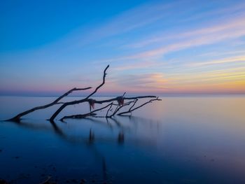 Silhouette driftwood in sea against sky during sunset