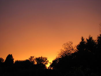 Low angle view of silhouette trees against sky during sunset