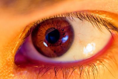 Extreme close up of human eye