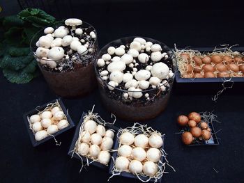 High angle view of mushrooms in container