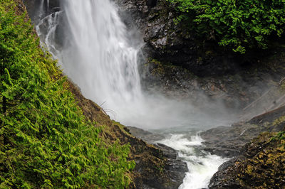 Scenic view of waterfall in forest