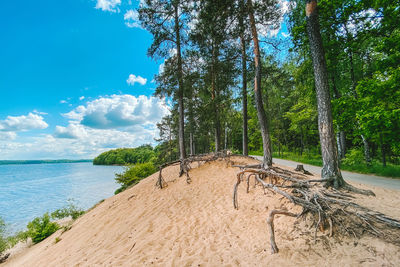 Scenic view of beach against sky