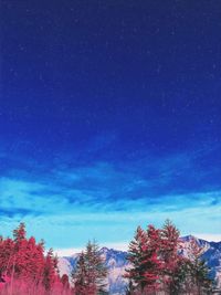 Low angle view of trees against blue sky