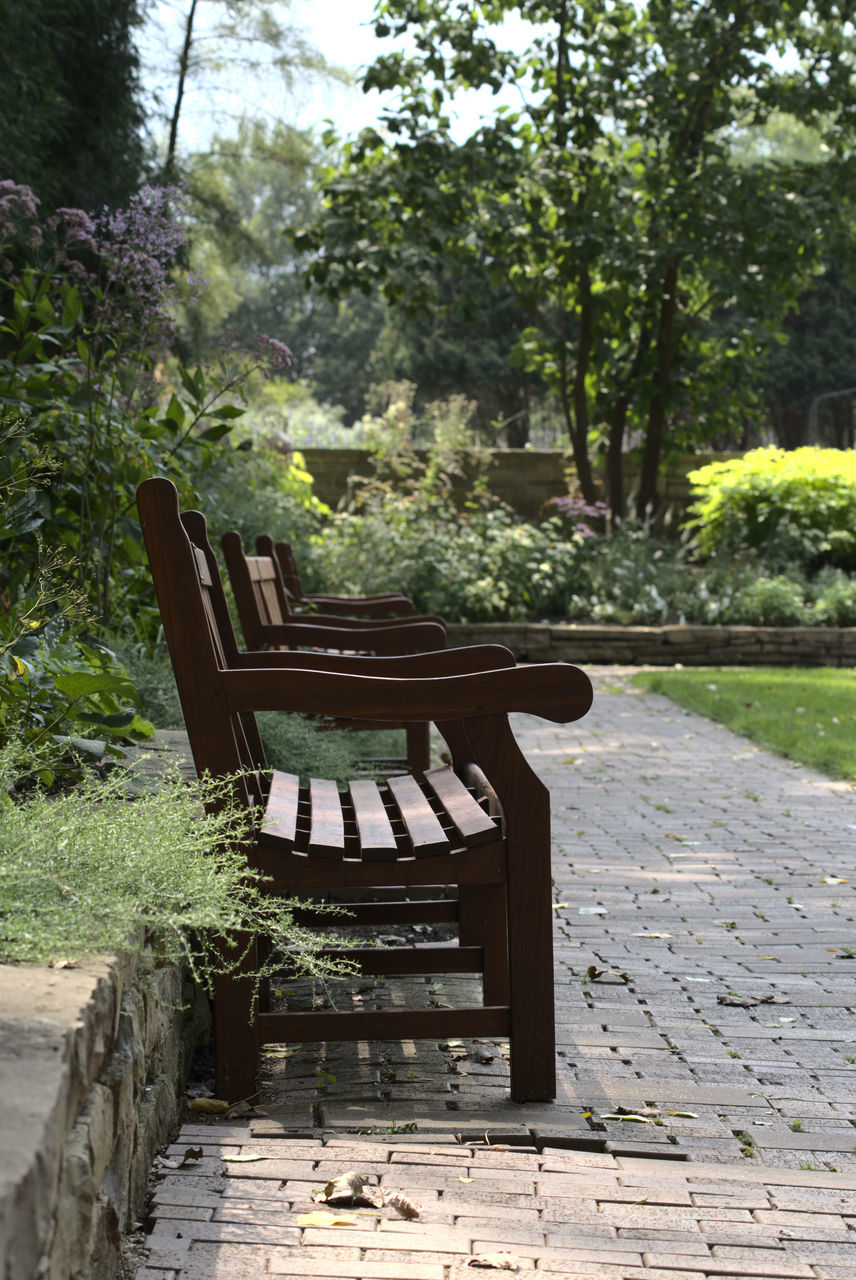 plant, seat, tree, nature, no people, footpath, garden, backyard, empty, bench, day, wood, chair, park, furniture, absence, growth, architecture, park - man made space, yard, outdoors, sunlight, tranquility, park bench, walkway, table, green, beauty in nature, cottage, shadow, formal garden, built structure, relaxation, estate, tranquil scene