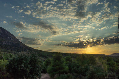 Scenic view of landscape against sky during sunset