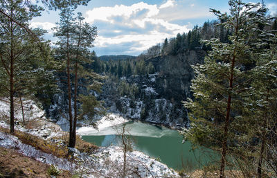 Scenic view of lake by trees against sky