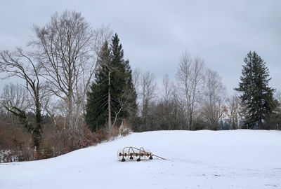 snow