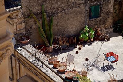 Potted plants against building