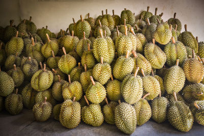 High angle view of fruits on cactus at market