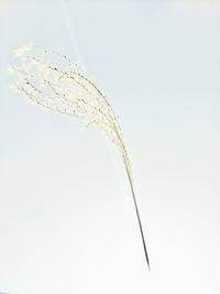 Close-up of cables against clear sky