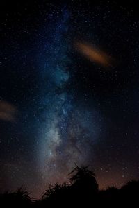 Low angle view of silhouette trees against star field at night