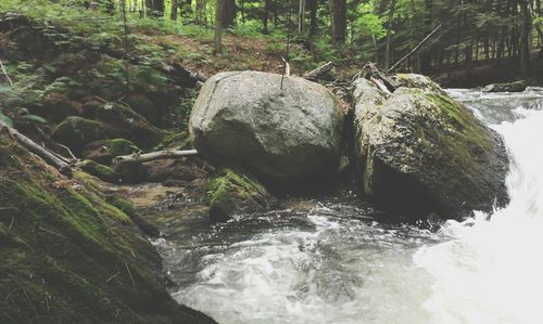 River flowing through rocks