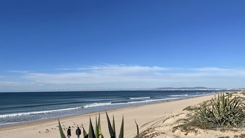 Scenic view of beach against blue sky