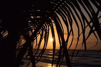 Scenic view of beach against sky during sunset