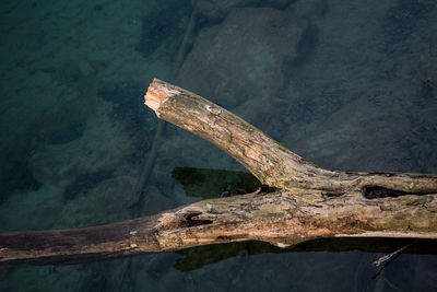 High angle view of abandoned boat on lake