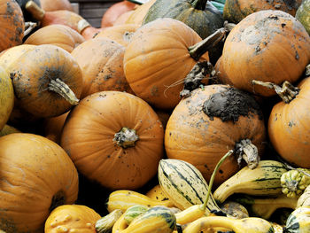 Close-up of pumpkins for sale at market stall