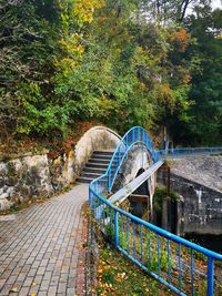 Arch bridge on footpath amidst trees