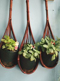 High angle view of potted plants hanging against wall