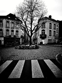 Bare tree in city against sky